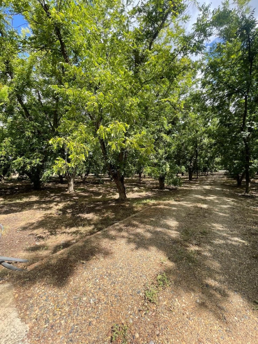 5 Bedroom Property for Sale in Christiana North West